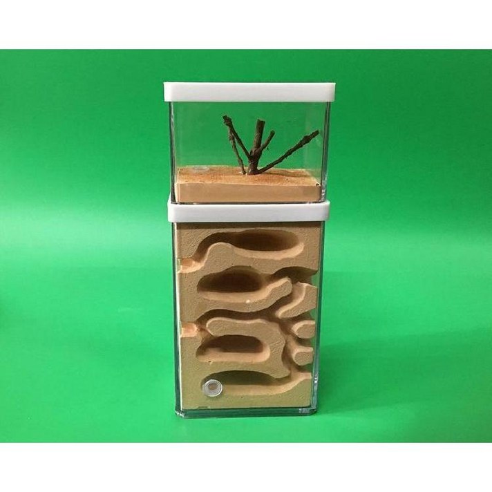 개미 집 키우기 관찰 세트 학습 키트 곤충 미니 사육장