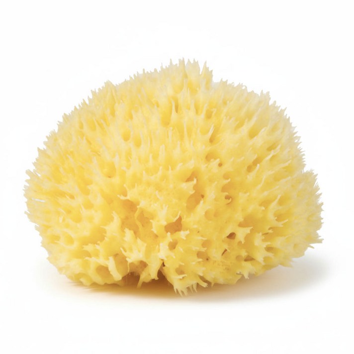 마레솜 이탈리아산 천연 해면스펀지 신생아 아기 샤워볼 목욕스펀지 미세플라스틱제로, 1개, 단일색상L