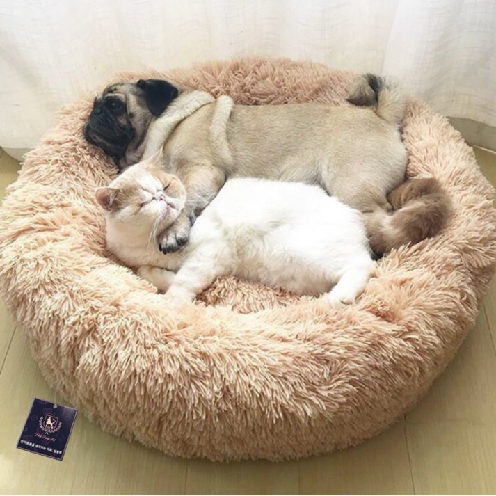 딩동펫 반려동물 폭신 도넛 방석
