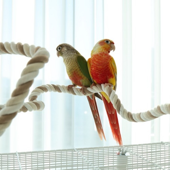 앵무새 횃대 꽈배기 5종 철사 길이 다양 모양 자유 새장 새용품 로프 와이어