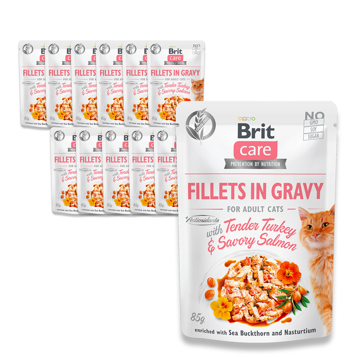 브릿 케어 캣 그레이비 파우치 고양이 주식 기능성 습식사료, 칠면조+연어, 85g, 12개