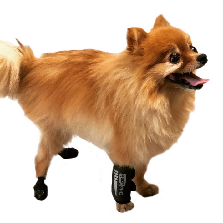 [미라이프] 오르토카니스 강아지앞다리보호대 앞발 앞발목 보호대 관절보호대 훈련용 ORT016