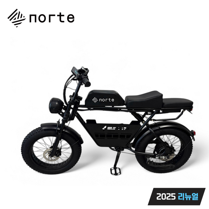 노르테 전기 자전거 자토바이 전동 스쿠터 팻바이크 MTB 배달용 출퇴근용, Y1 럭셔리, 스틸