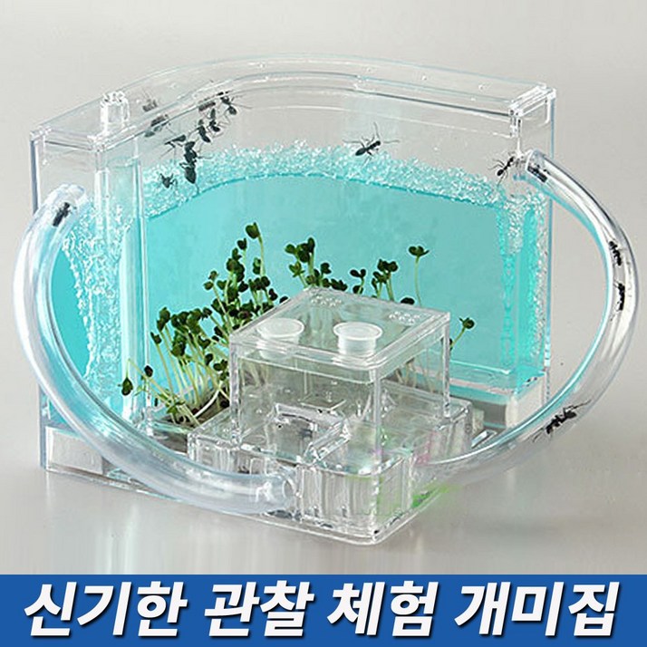 연결형 LED 개미집 개미 키우기 체험 사육장 하우스 만들기 연결형 LED 개미집 개미 키우기 체험 사육장 하우스 만들기