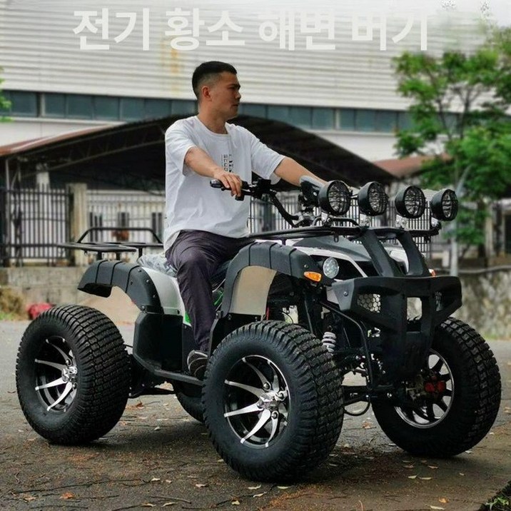 농사용 사발이 전동 버기카 1개 자동차 농업용 제이스튜