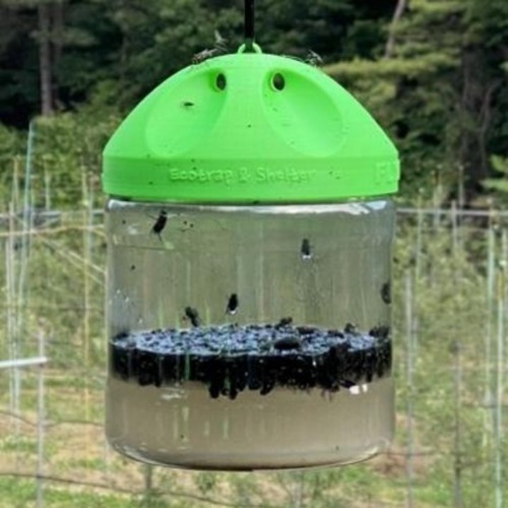 에코트랩 플라이돔 기본형 3만마리 파리퇴치기 트랩 포획 박멸 제거 재사용 가능