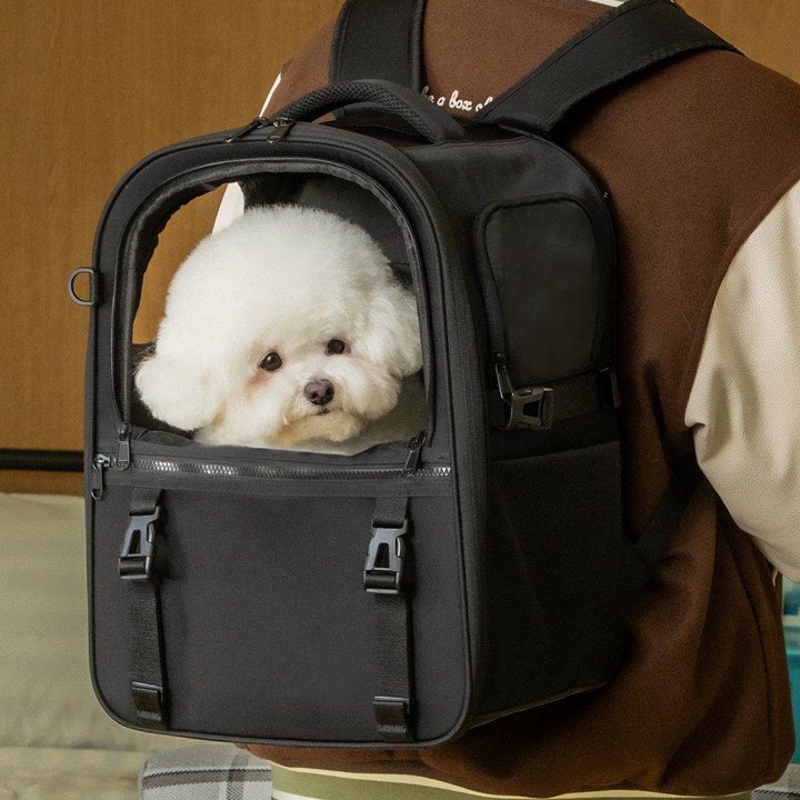 인더코코 강아지 고양이 코코백 백팩