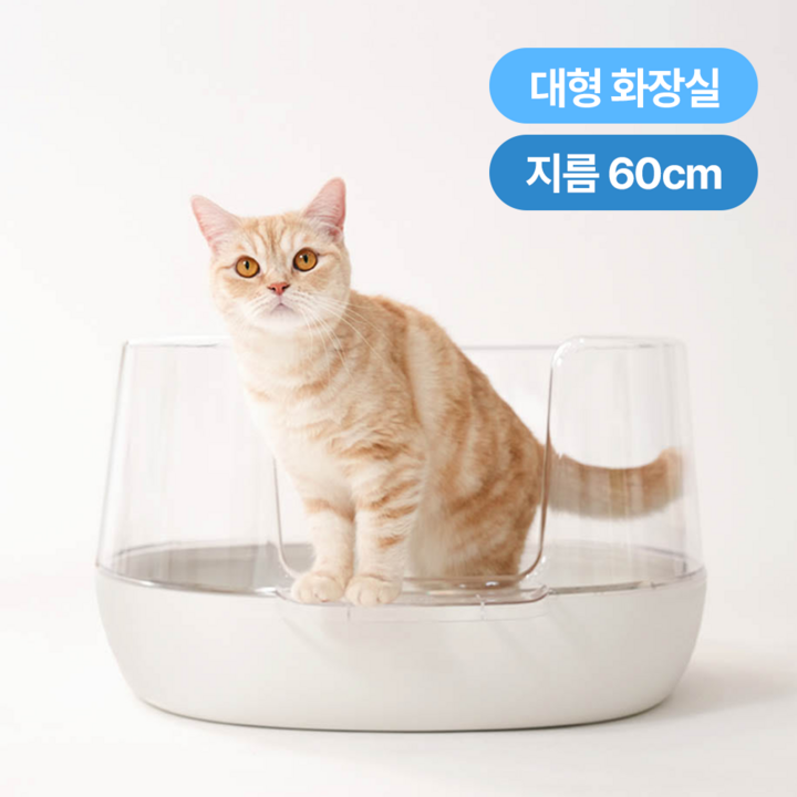 냥쌤 고양이 모래 투명 화장실 스트레스 제로