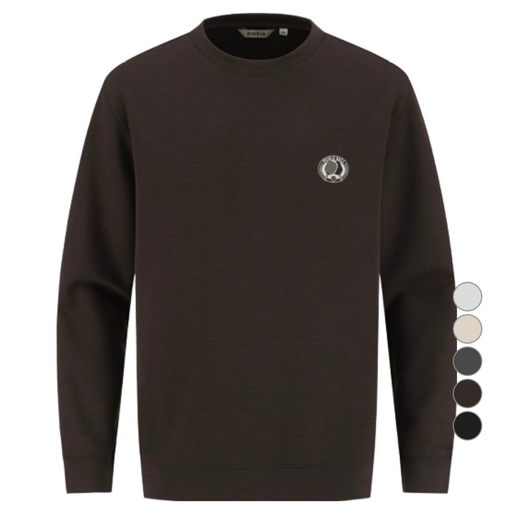 지오지아 남성용 더블니트 그래픽 맨투맨 AEF4TR1102