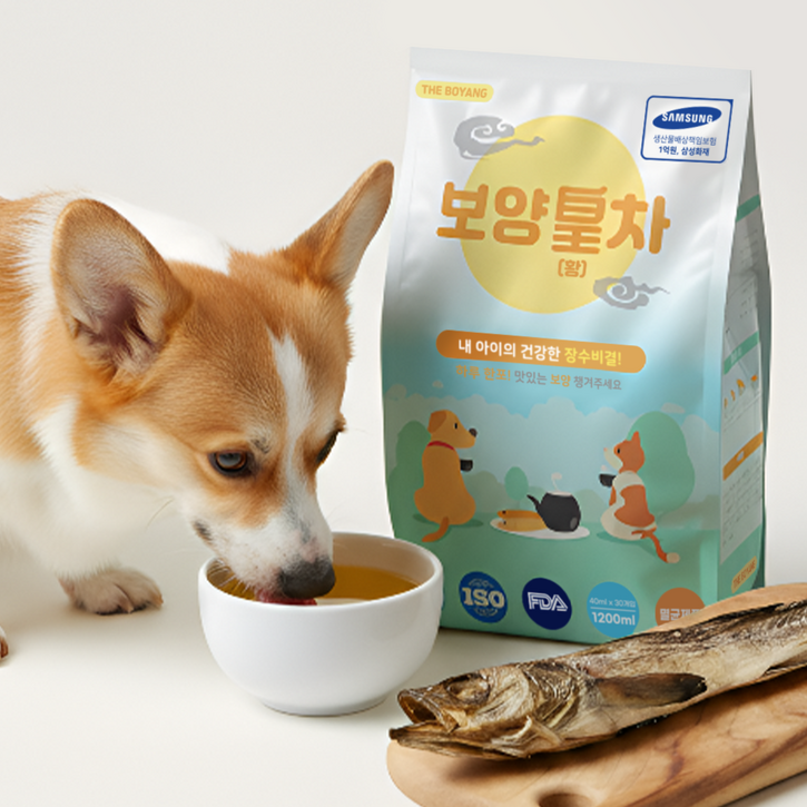 더보양 보양황차 강아지 고양이 마시는 보약 천연 영양제