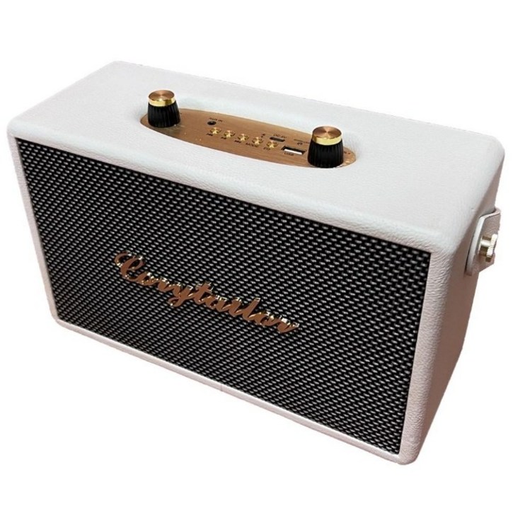 코지테일러 CT20W TWS EQ모드 블루투스 스피커 B140, 화이트