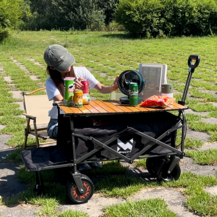 주니스 전동 캠핑 웨건 전동카트 삼성 7000mAh 배터리 업그레이드 100W [ 사은품 증정!]