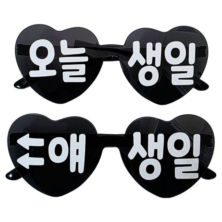 오늘생일 안경 2종 세트
