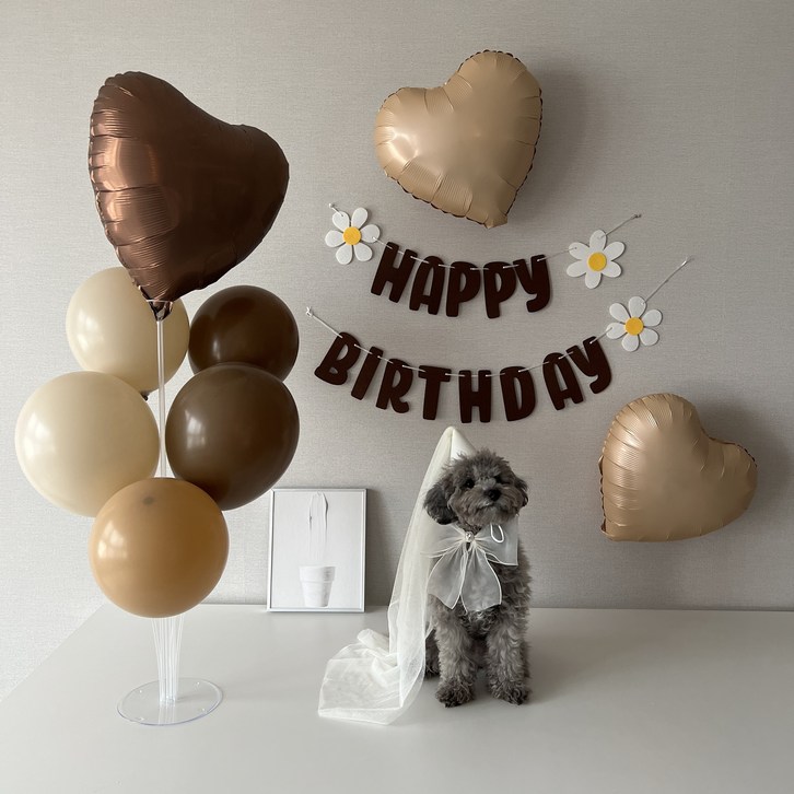 하피블리 강아지 생일 파티 베이지 하트 풍선 브라운 데이지 가랜드 생일상 세트, 생일가랜드(브라운) - 쇼핑뉴스