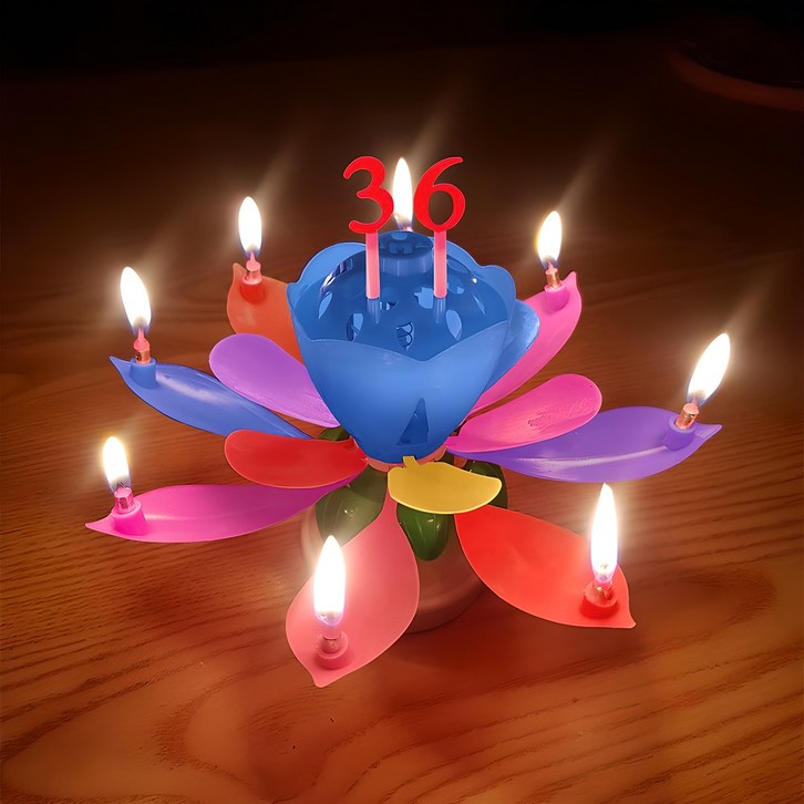 스토리빙 생일 축하 초 연꽃 멜로디 선물 파티 용품  숫자 토퍼 19p 세트, 레인보우