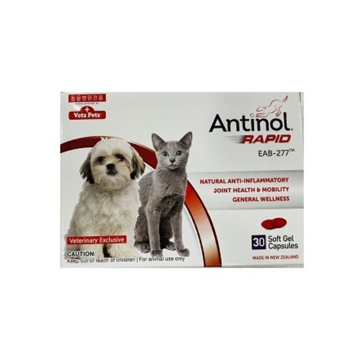 안티놀 래피드 30정 강아지,고양이 관절영양제