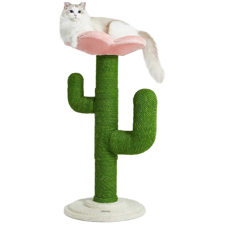더가치 플라워선인장 스크래쳐 캣타워, 1개
