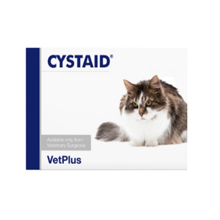 벳플러스 시스테이드 고양이 방광 요로 캡슐