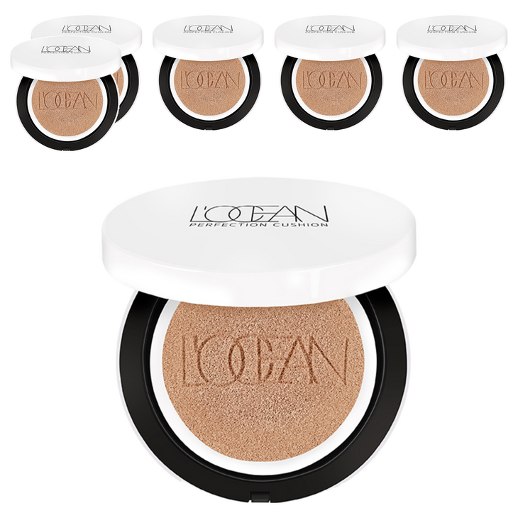 로쎄앙 퍼펙션 쿠션 팩트 25g, 33호 카푸치노, 6개