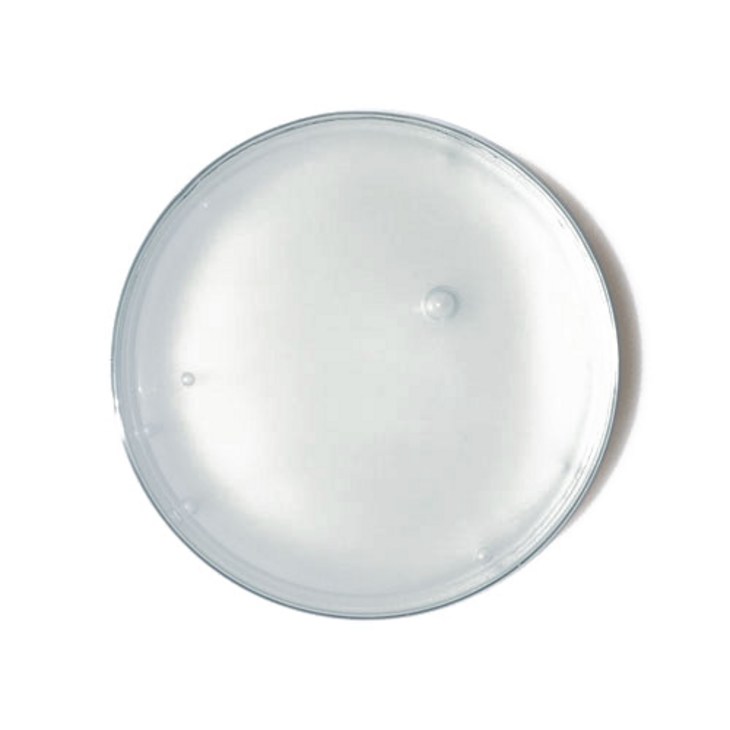 팔레트슬라임 슬라임 200ml 엑티베이터 30ml, 클리어, 1개