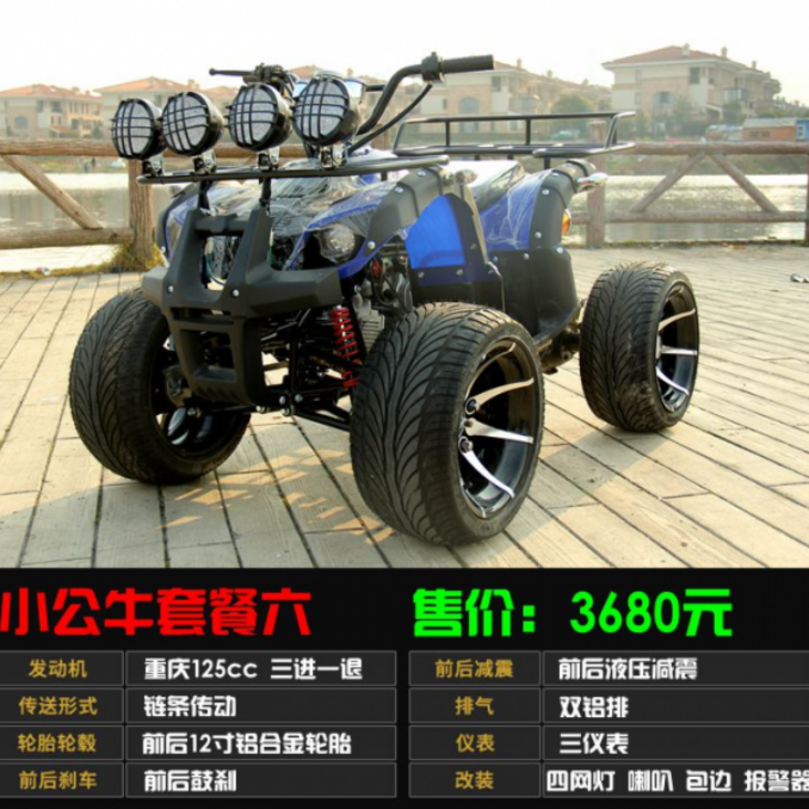 ATV 125cc-250cc 쿼드 바이크 산악 자전거 오프로드 ATV, 암소 정식 6