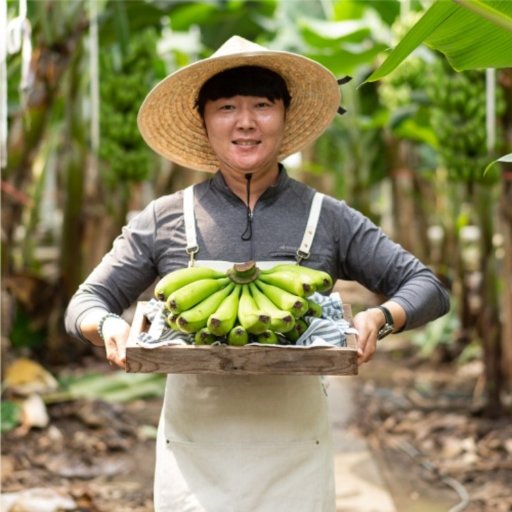 국내산 클로렐라 무농약 유기농 올 바나나 1.5kg 2.5kg