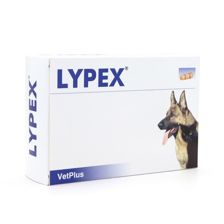벳플러스 라이펙스 강아지 고양이 배탈 췌장염 효소성분 영양보조제 60캡슐