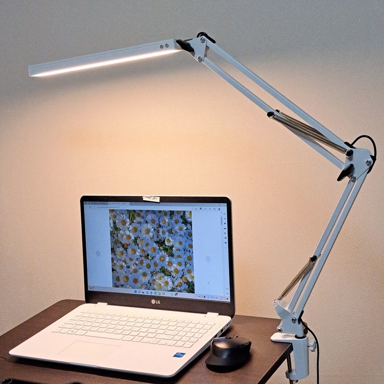 인터리더 LED 스탠드 책상 공부 독서등 엔틱 침대 조명, 클램프형 화이트 - 투데이밈